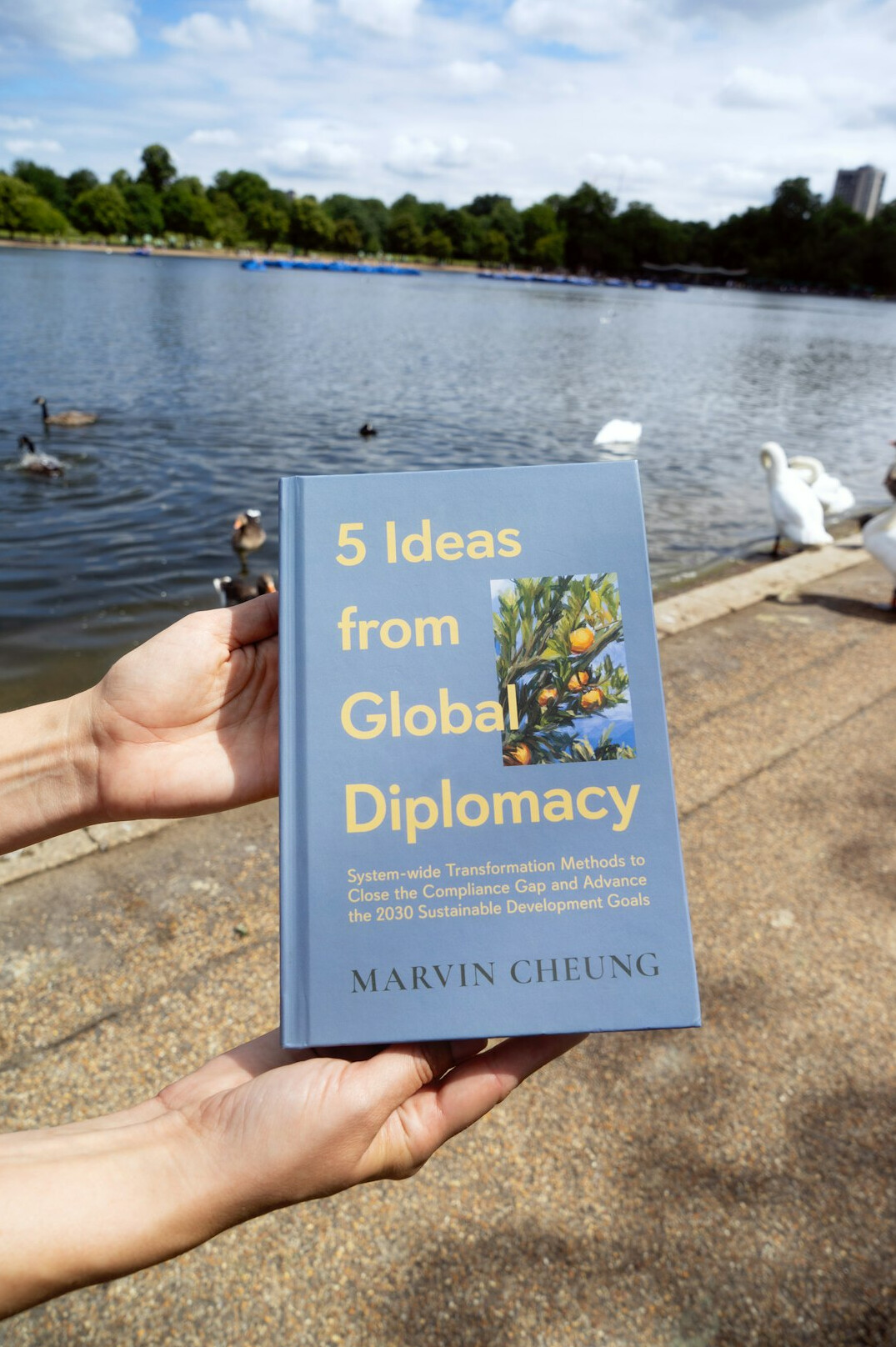 book cover design